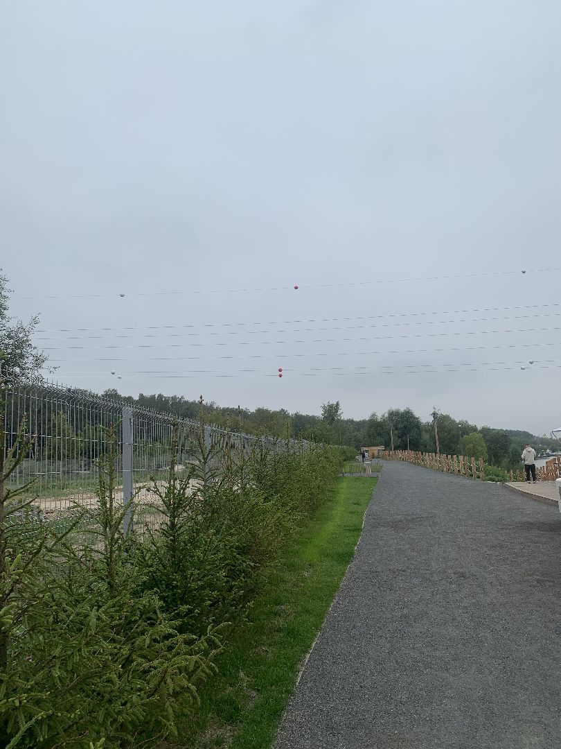 Деревья, экология, благоустройство, красногорск,