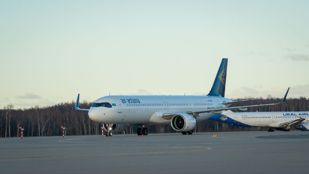 Домодедово, общестов