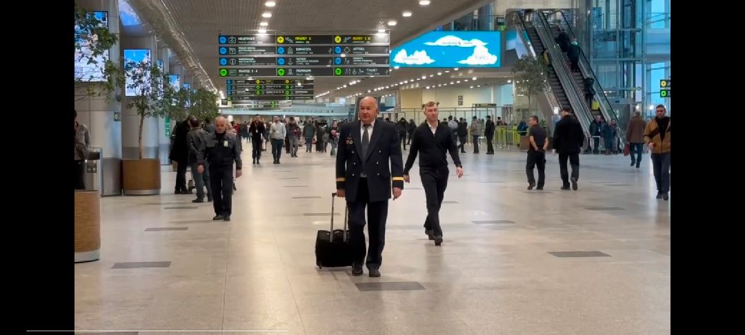 Домодедово, общестов