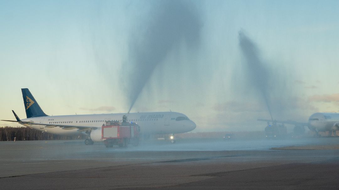 Домодедово, общестов