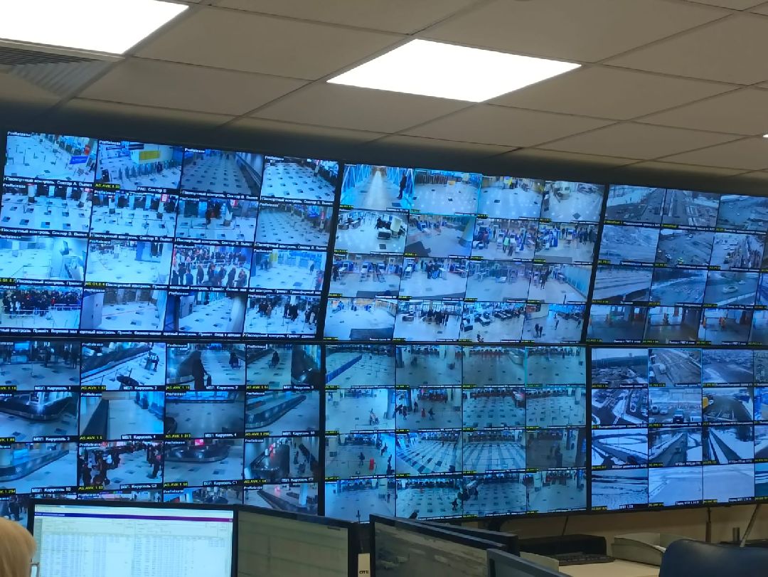 Домодедово, общестов