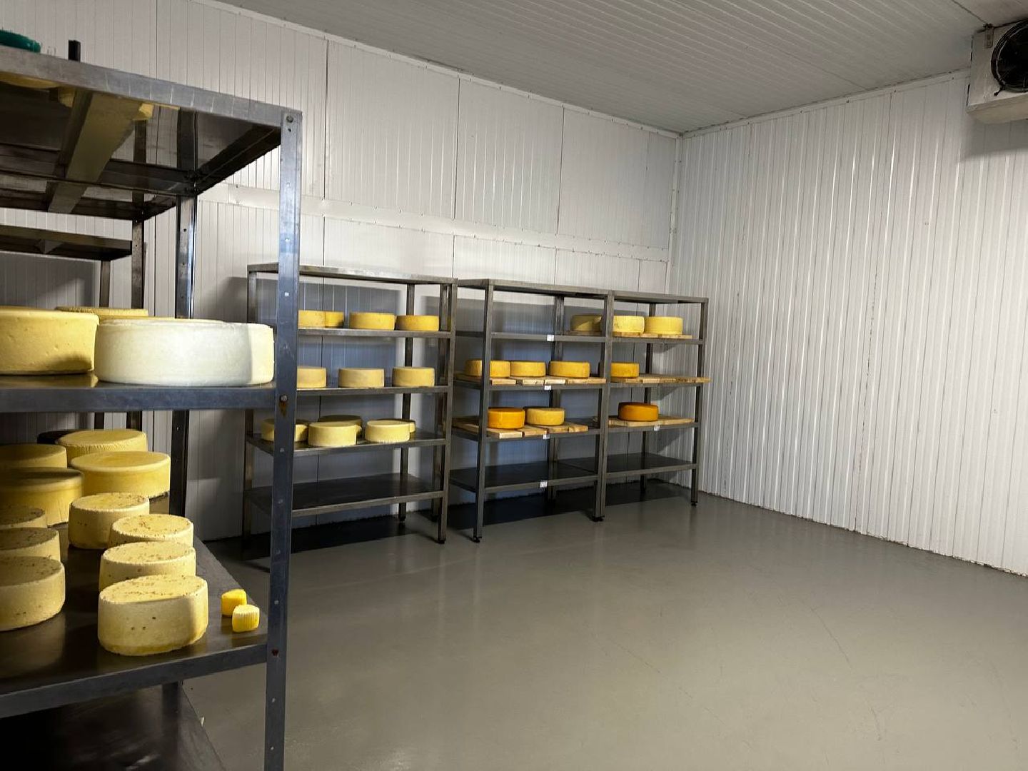 Можайск, Можайский городской округ, Подмосковье, сыр, сыроварня, экоранчо, агротуристический комплекс, туризм