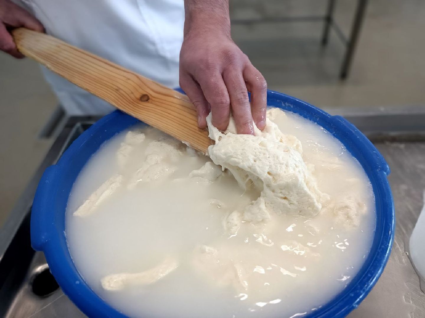 Можайск, Можайский городской округ, Подмосковье, сыр, сыроварня, экоранчо, агротуристический комплекс, туризм