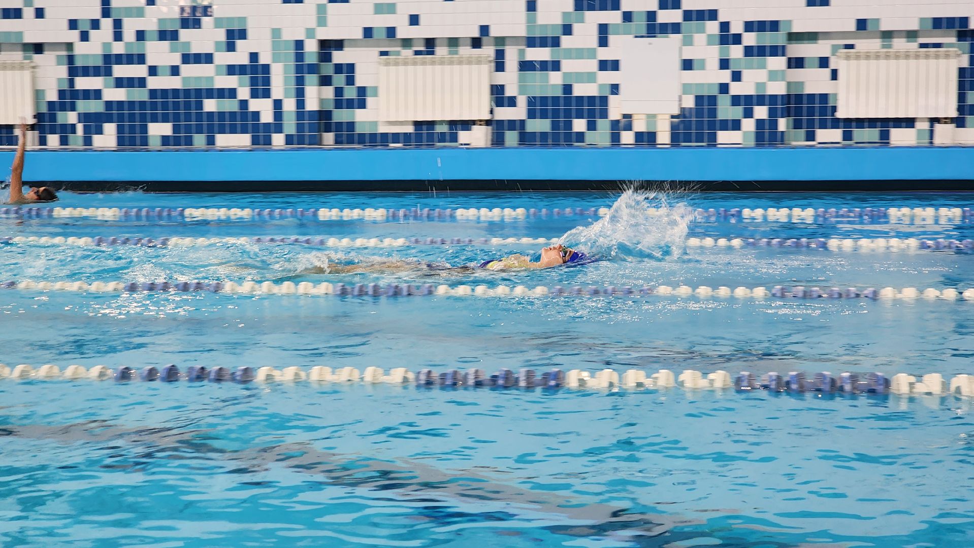 кубок губернатора, плавание, спорт,