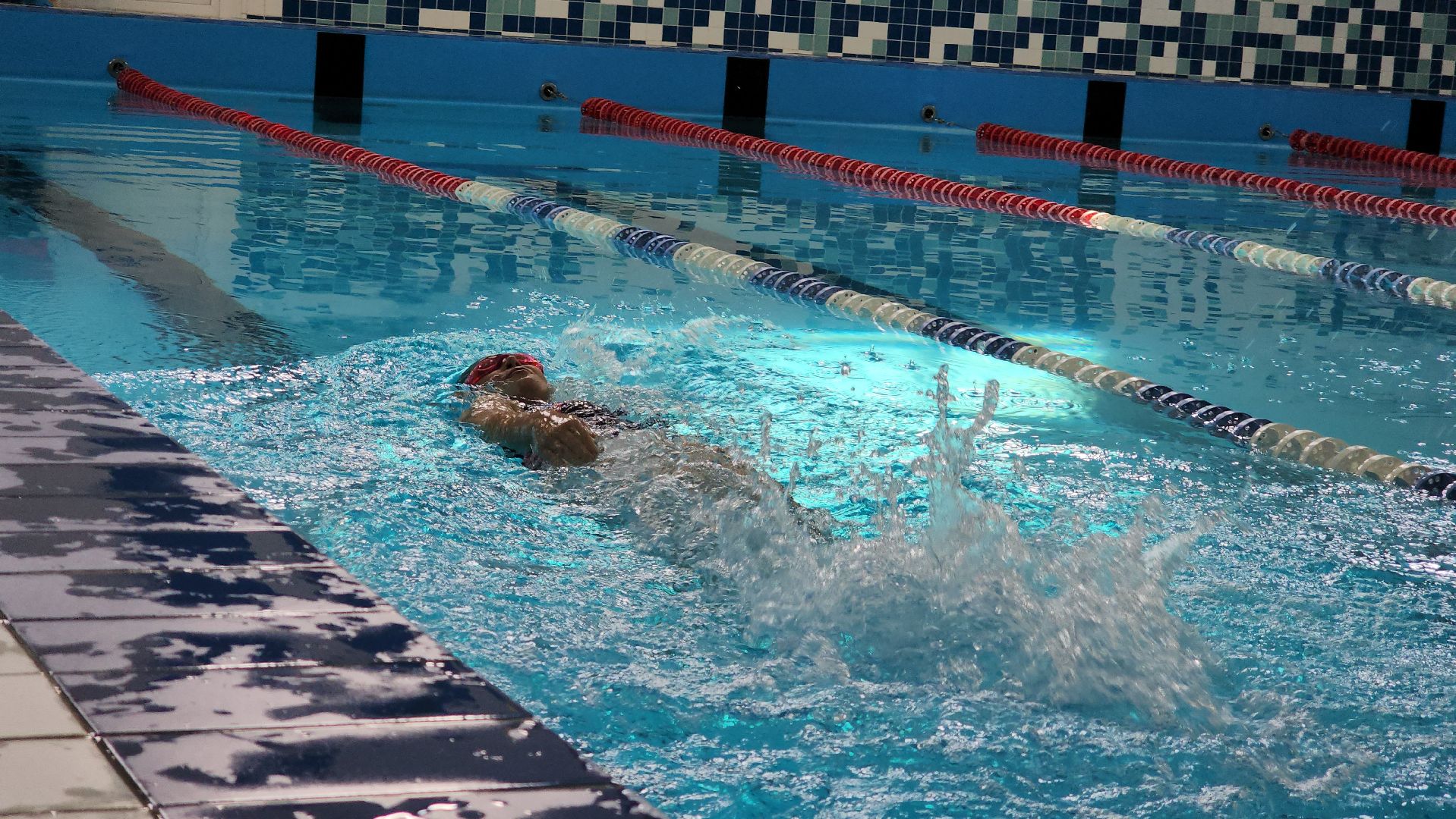 кубок губернатора, плавание, спорт,