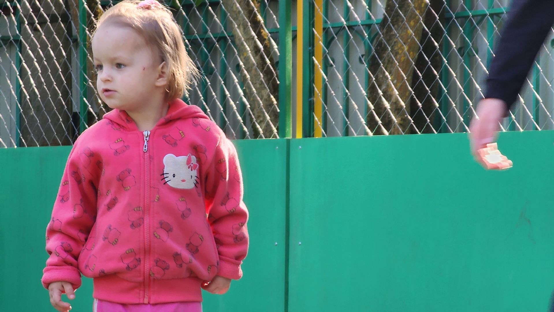 Пушкино, Полиция, благотворительность, дети, общество