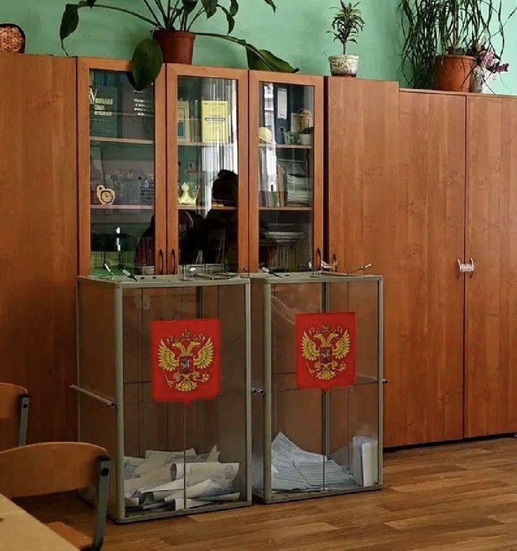 Сергиево-Посадский городской округ, Сергиев Посад, ДЭГ, Выборы, Голосование