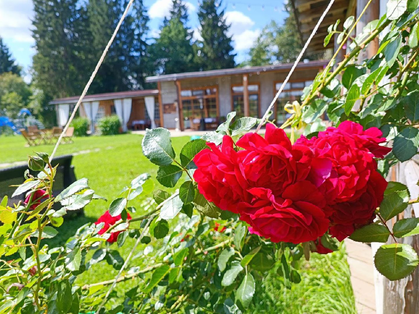 Можайск, Можайский городской округ, Подмосковье, сыр, сыроварня, экоранчо, агротуристический комплекс, туризм