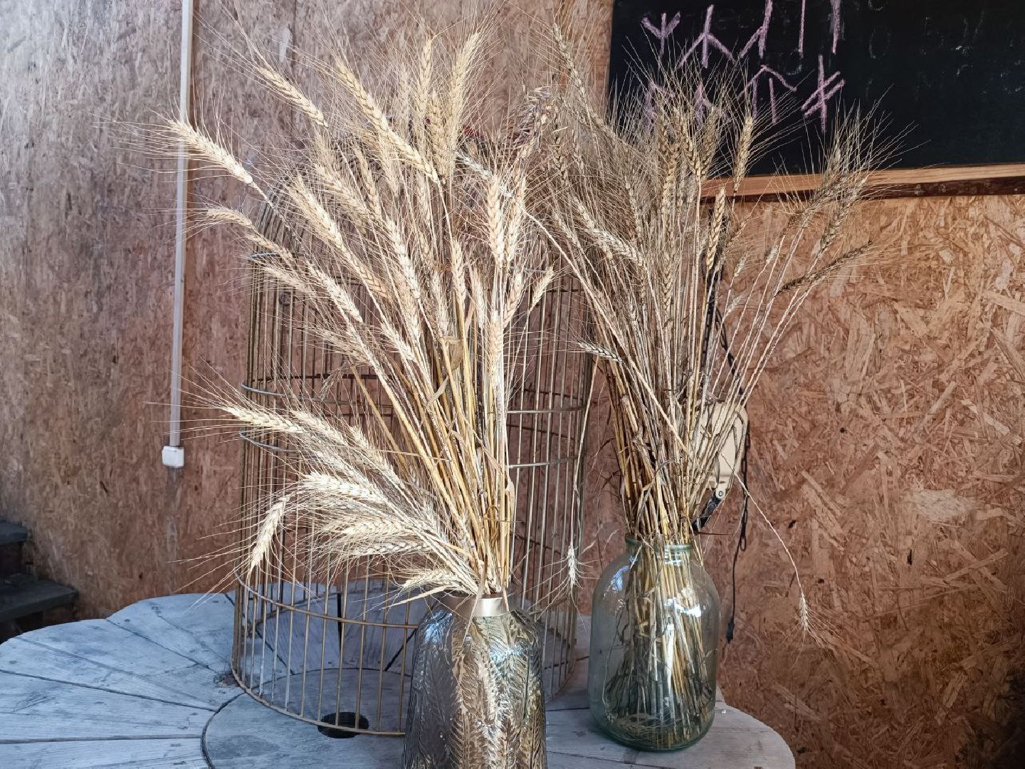 Можайск, Можайский городской округ, Подмосковье, сыр, сыроварня, экоранчо, агротуристический комплекс, туризм