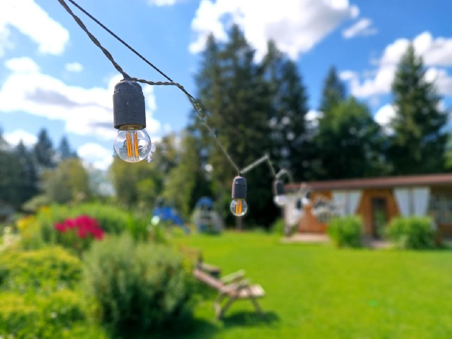 Можайск, Можайский городской округ, Подмосковье, сыр, сыроварня, экоранчо, агротуристический комплекс, туризм