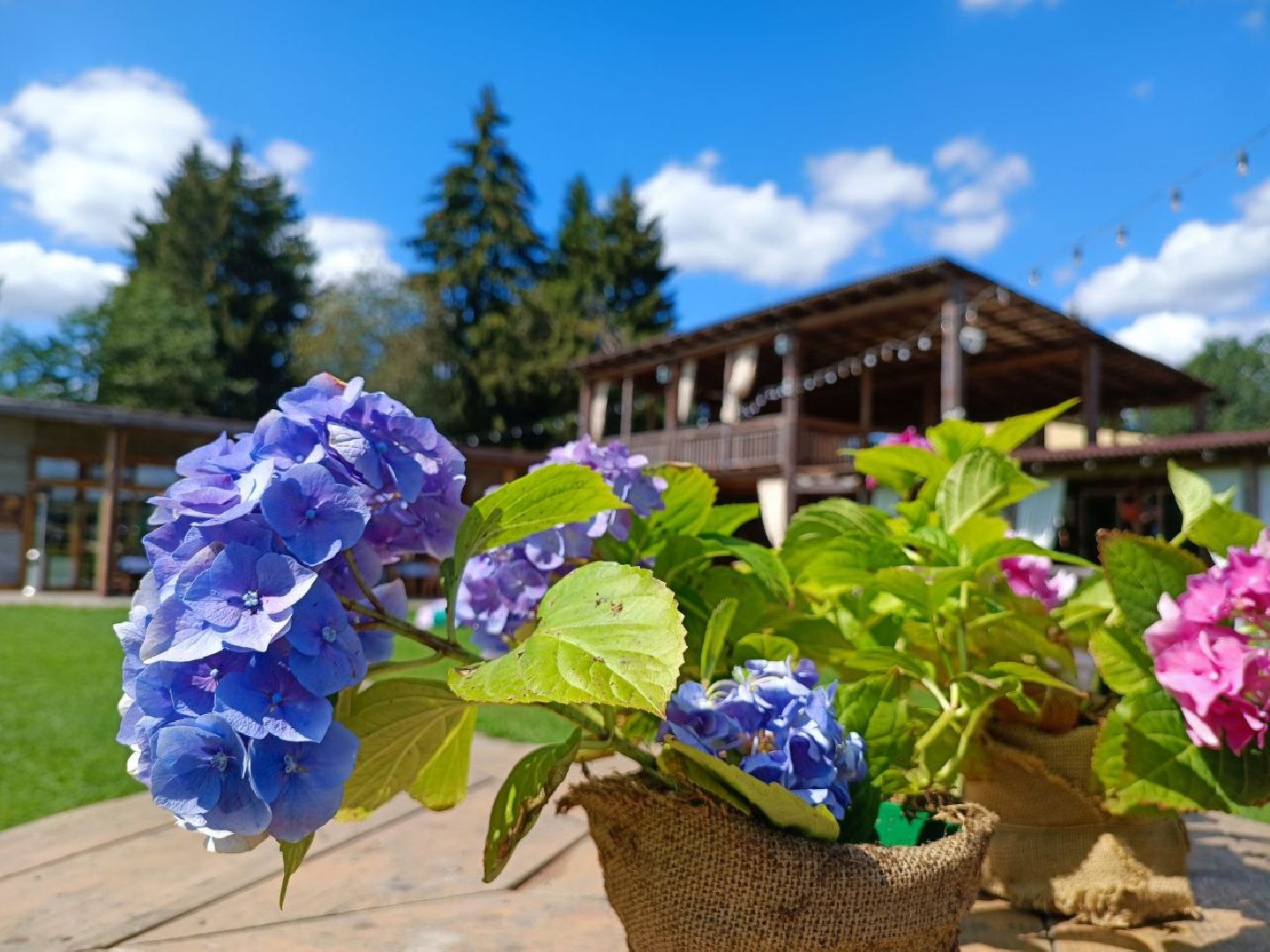 Можайск, Можайский городской округ, Подмосковье, сыр, сыроварня, экоранчо, агротуристический комплекс, туризм
