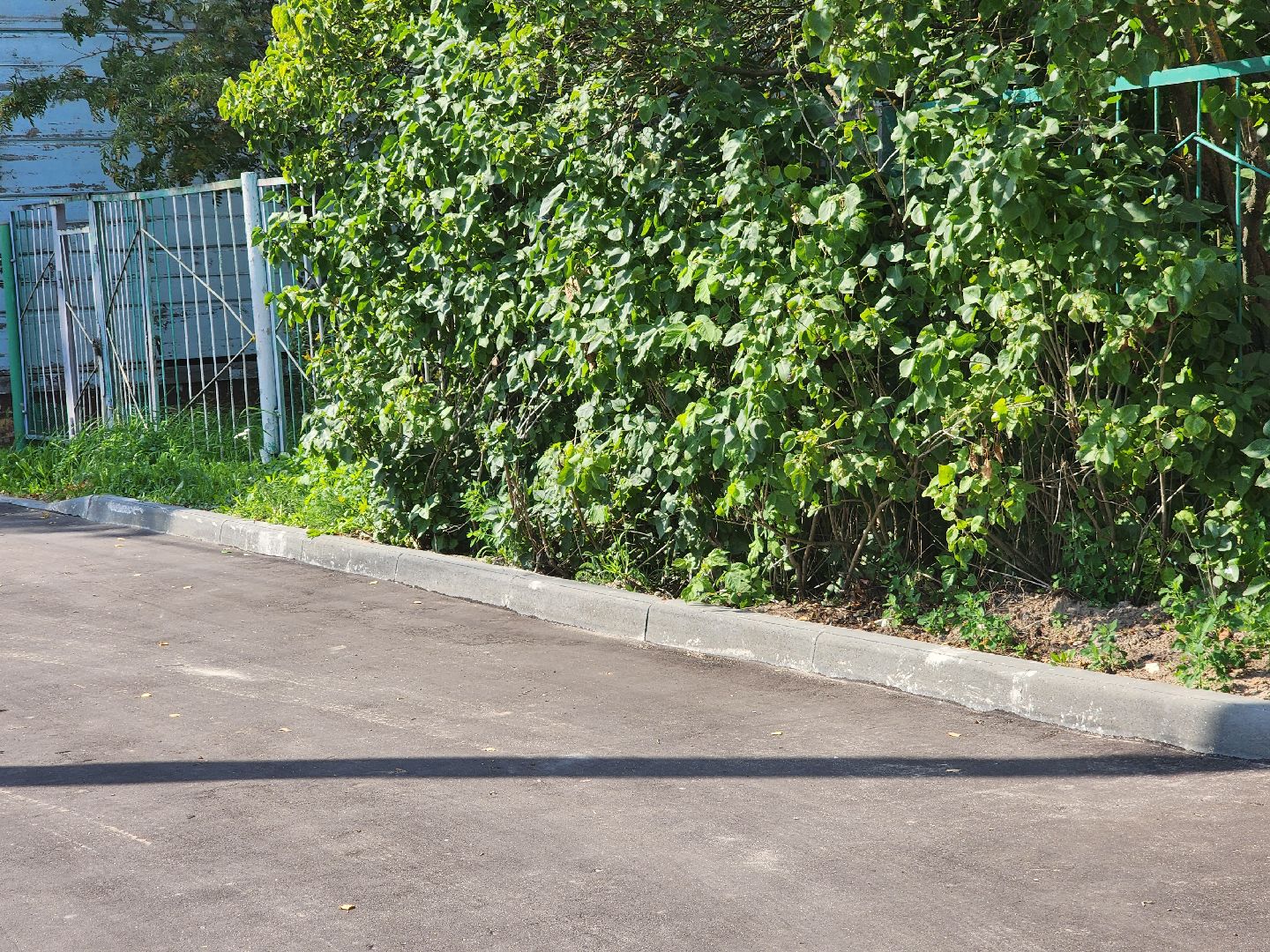 Павловский Посад, городской округ Павловский Посад, люди, благоустройство, тротуар, улица, ремонт