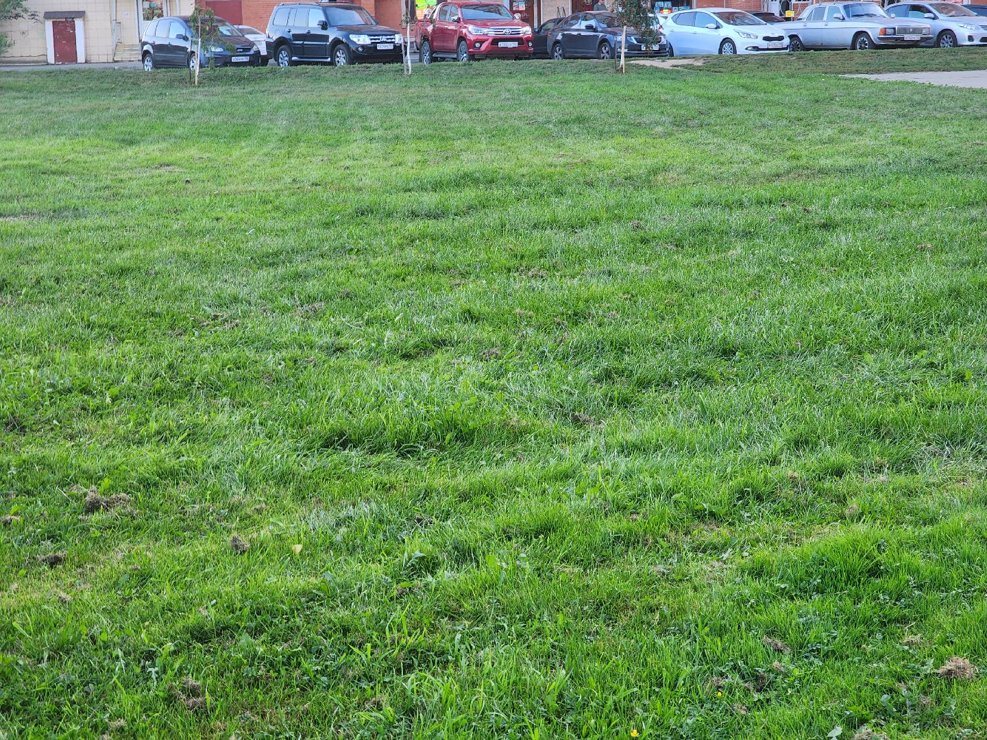 Павловский Посад, городской округ Павловский Посад, станция, люди, покос травы, газон, благоустройство