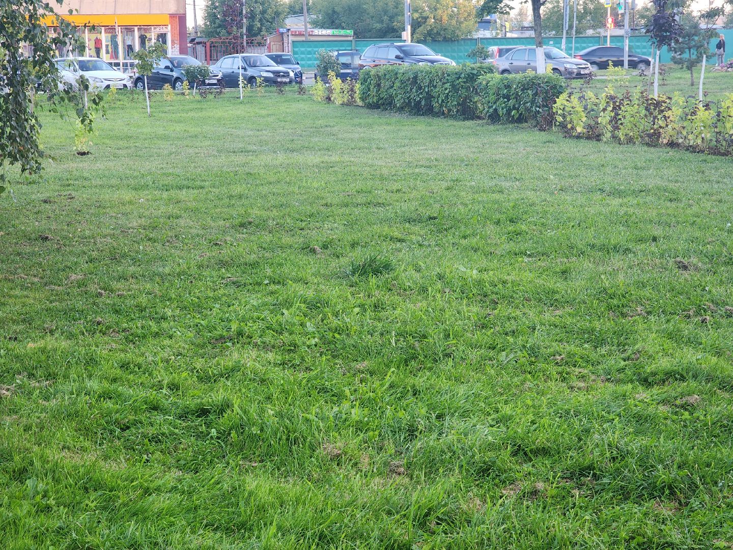 Павловский Посад, городской округ Павловский Посад, станция, люди, покос травы, газон, благоустройство