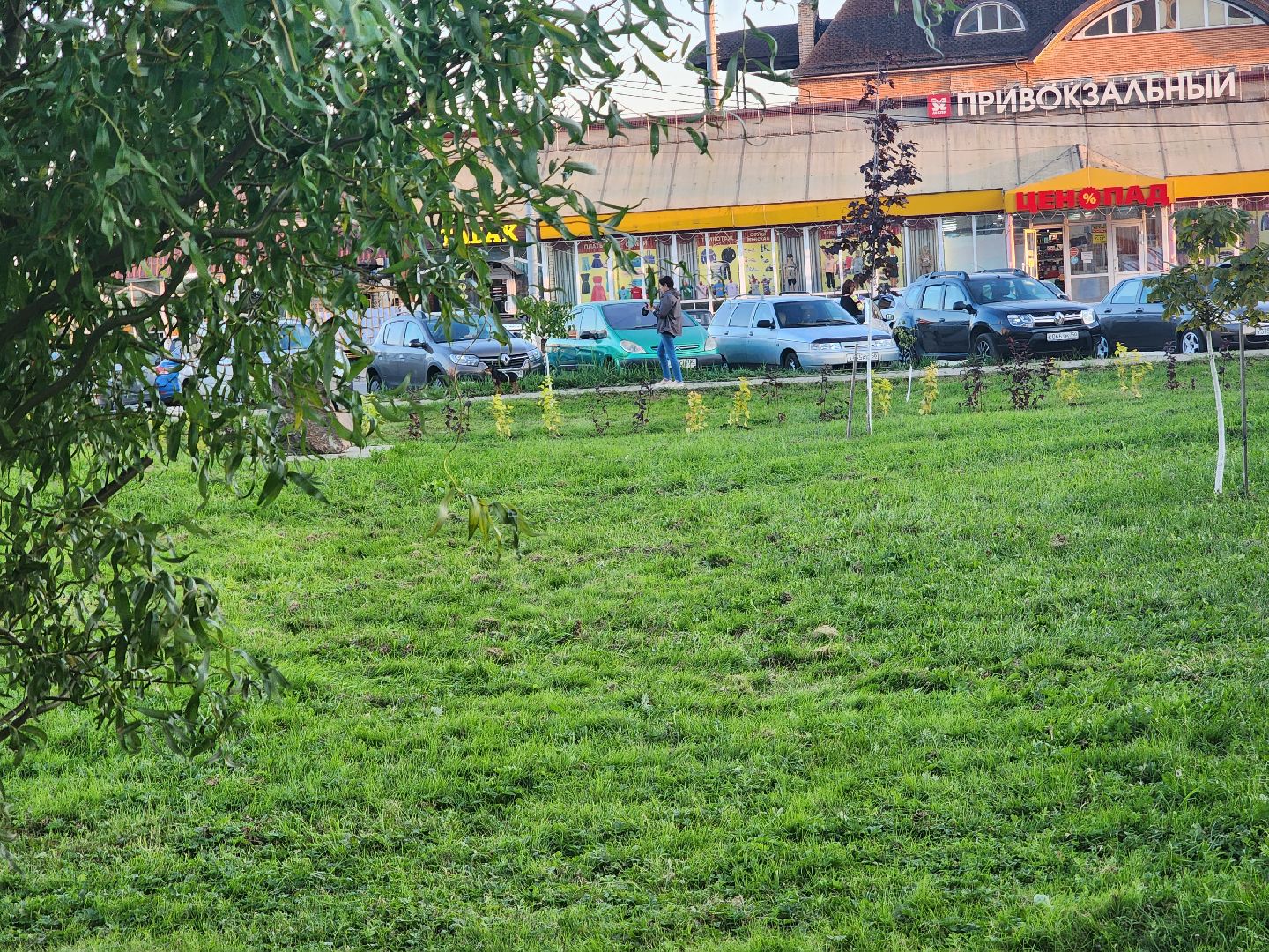 Павловский Посад, городской округ Павловский Посад, станция, люди, покос травы, газон, благоустройство