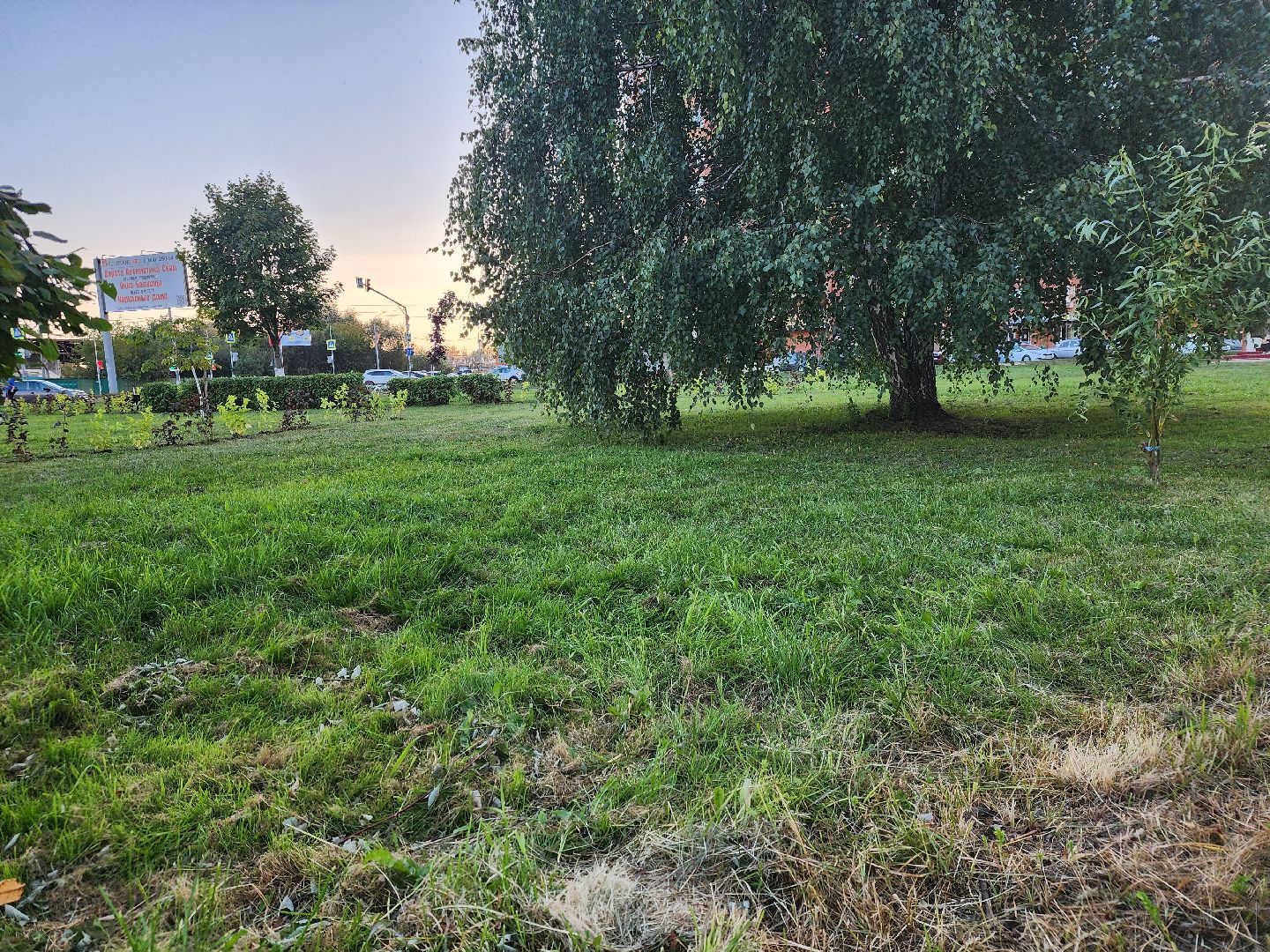 Павловский Посад, городской округ Павловский Посад, станция, люди, покос травы, газон, благоустройство