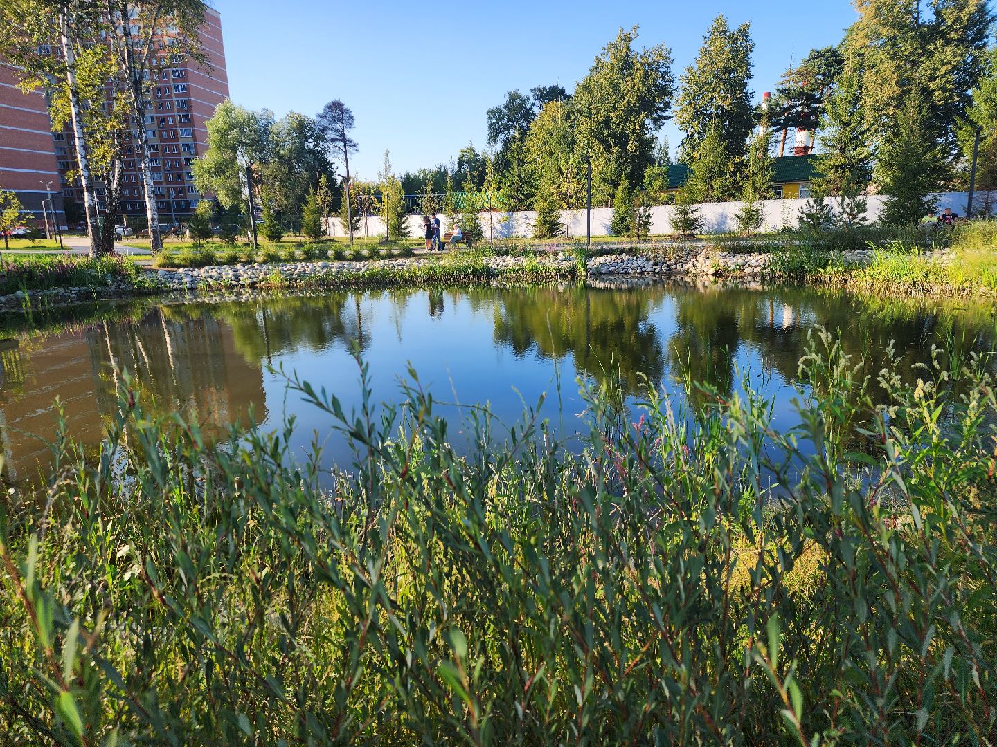 Павловский Посад, городской округ Павловский Посад, парк, благоустройство, Дубрава, сквер, пруд