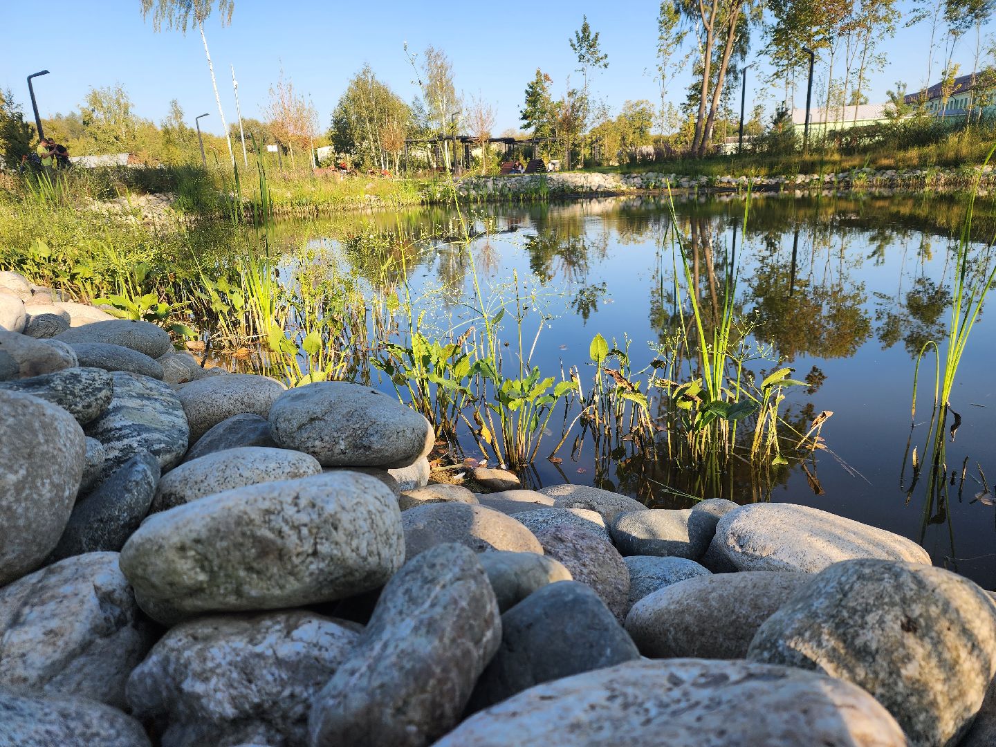 Павловский Посад, городской округ Павловский Посад, парк, благоустройство, Дубрава, сквер, пруд
