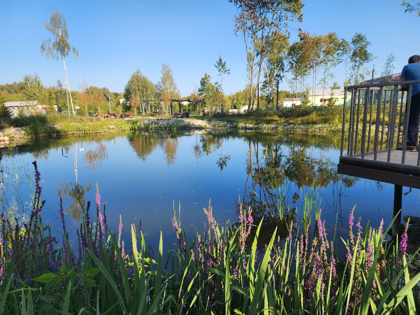 Павловский Посад, городской округ Павловский Посад, парк, благоустройство, Дубрава, сквер, пруд