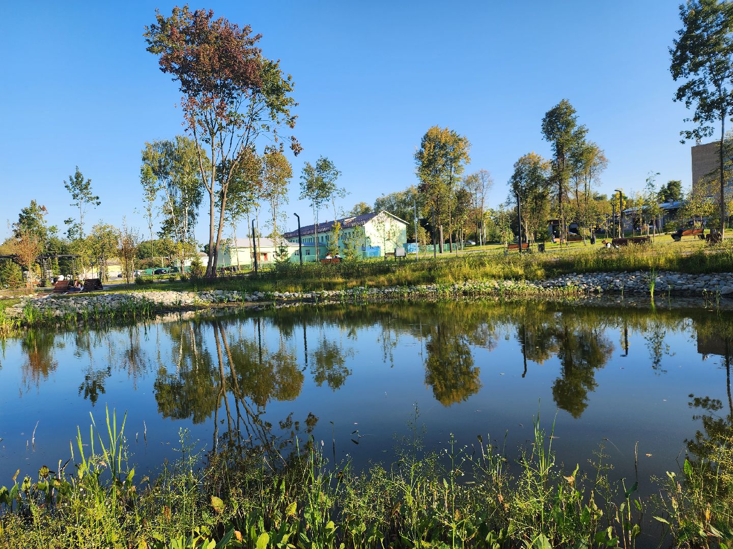 Павловский Посад, городской округ Павловский Посад, парк, благоустройство, Дубрава, сквер, пруд