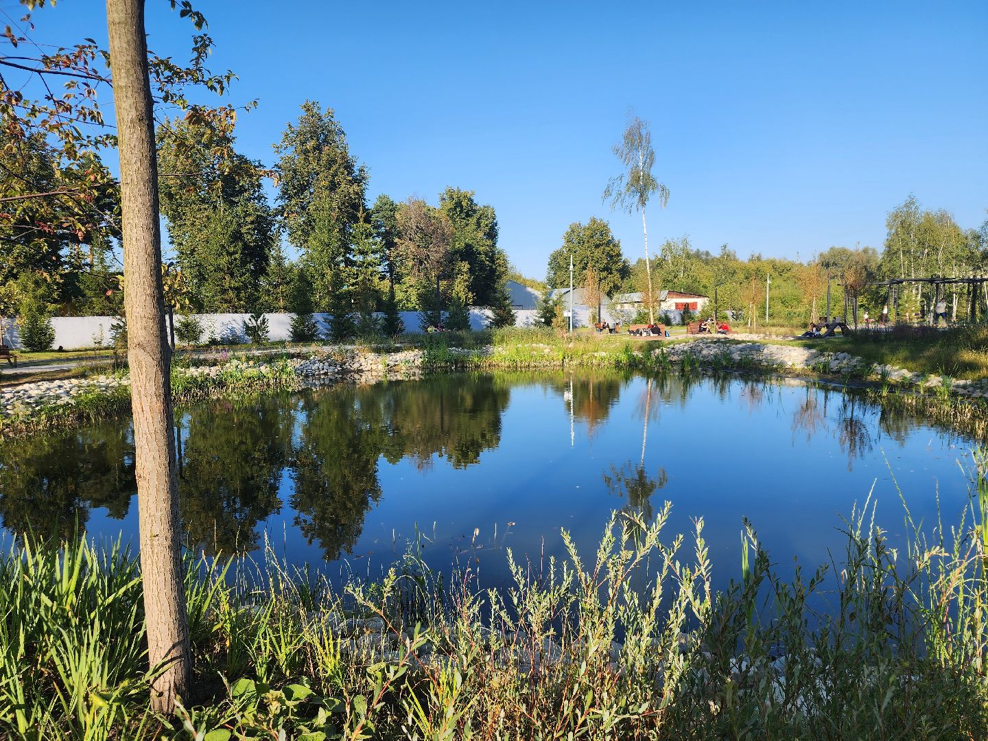 Павловский Посад, городской округ Павловский Посад, парк, благоустройство, Дубрава, сквер, пруд