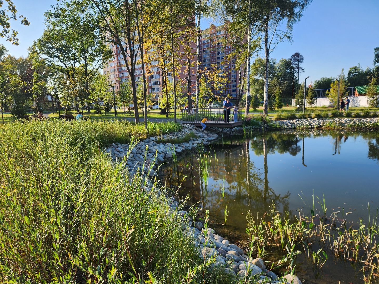Павловский Посад, городской округ Павловский Посад, парк, благоустройство, Дубрава, сквер, пруд