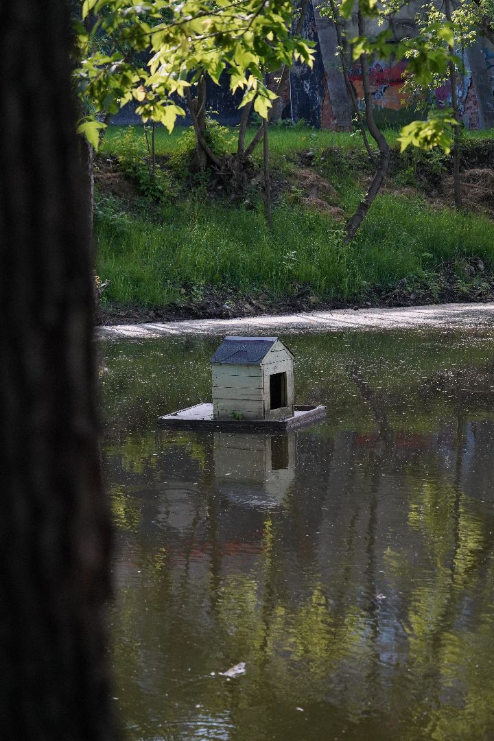 Егорьевск, Гуслица, утки