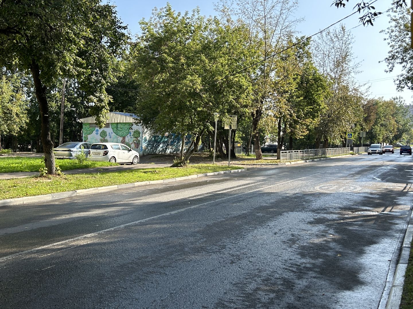 дороги, полив, Фрязино