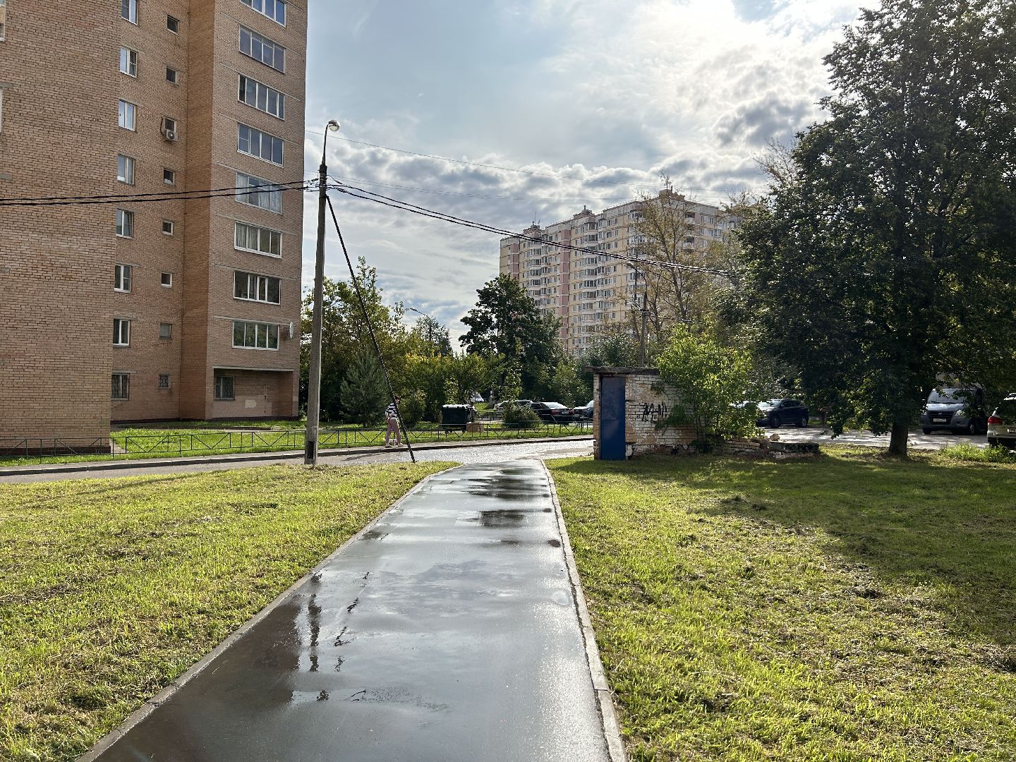 дороги, полив, Фрязино