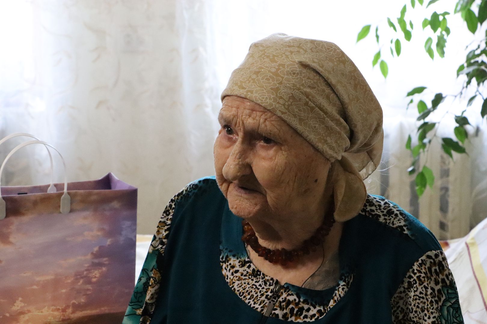 Серебряные Пруды, ветеран ВОВ, СВО