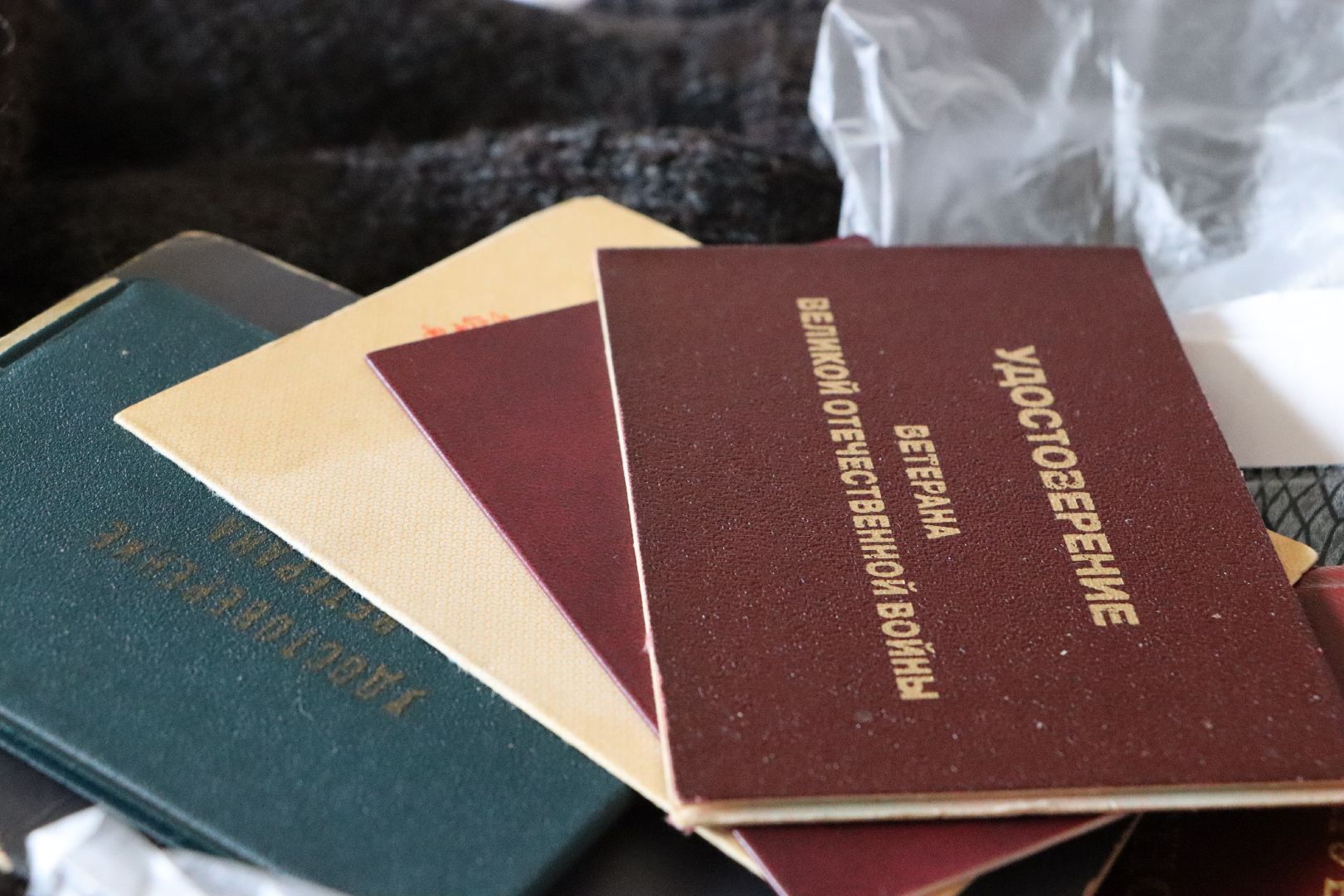 Серебряные Пруды, ветеран ВОВ, СВО