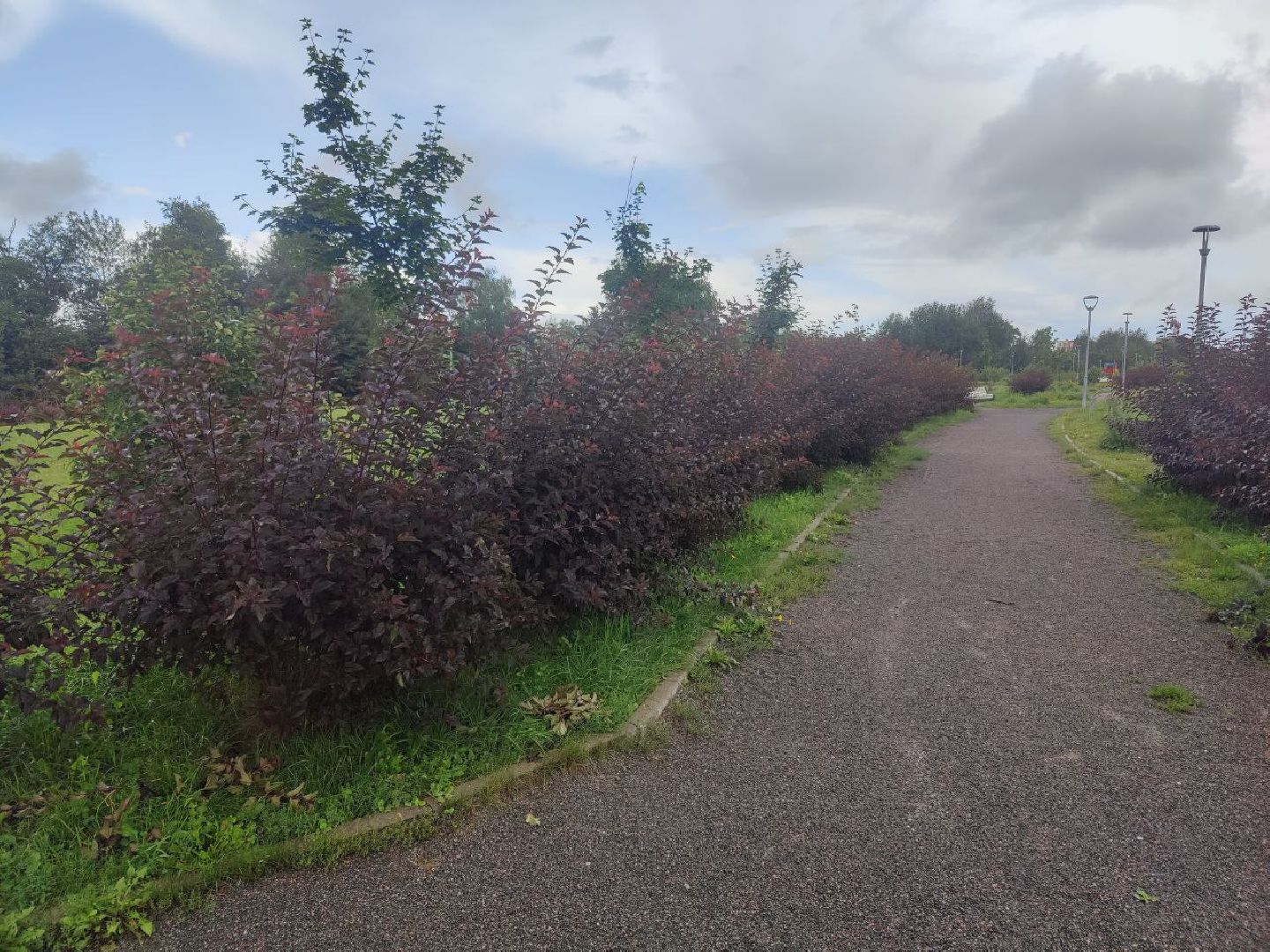 Нахабино, нападение, ЧП, Красногорск