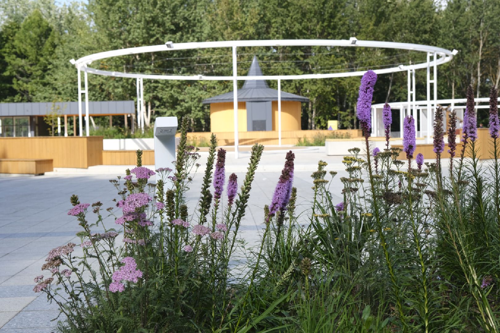 Пущино, благоустройство,