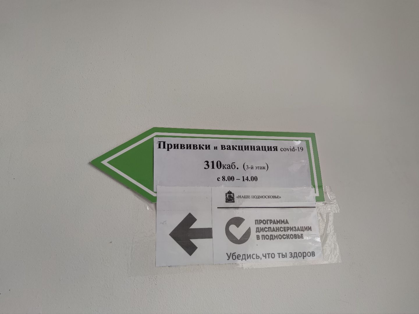 Вакцинация, терапевт, врач, Дубненская больница, Дубна, грипп