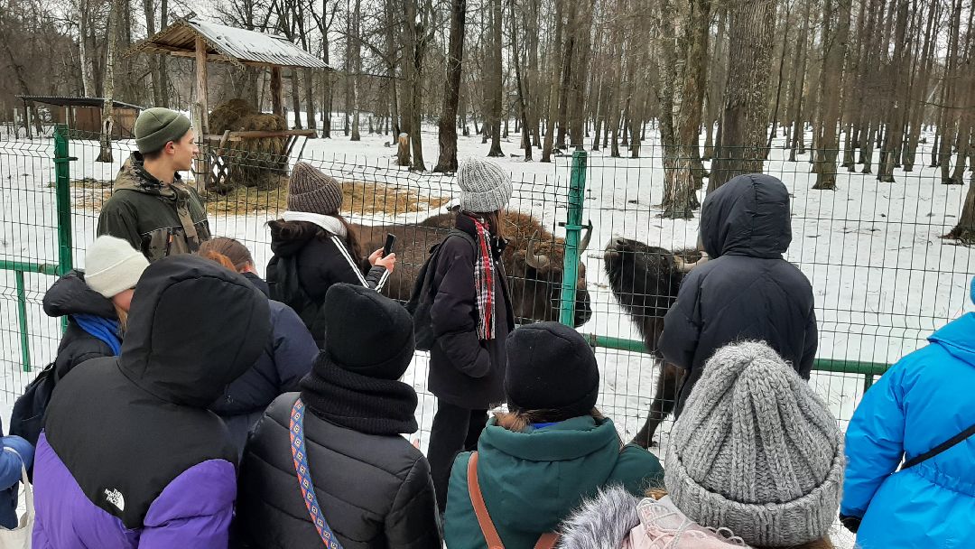 Серпухов, общество
