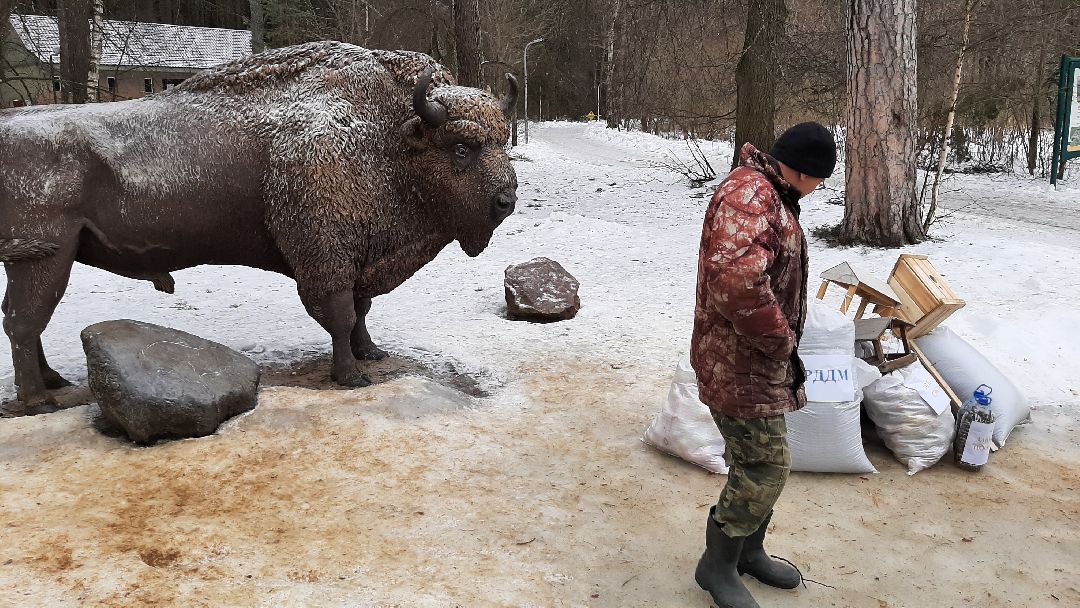 Серпухов, общество