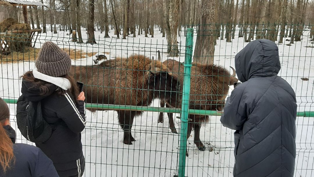 Серпухов, общество