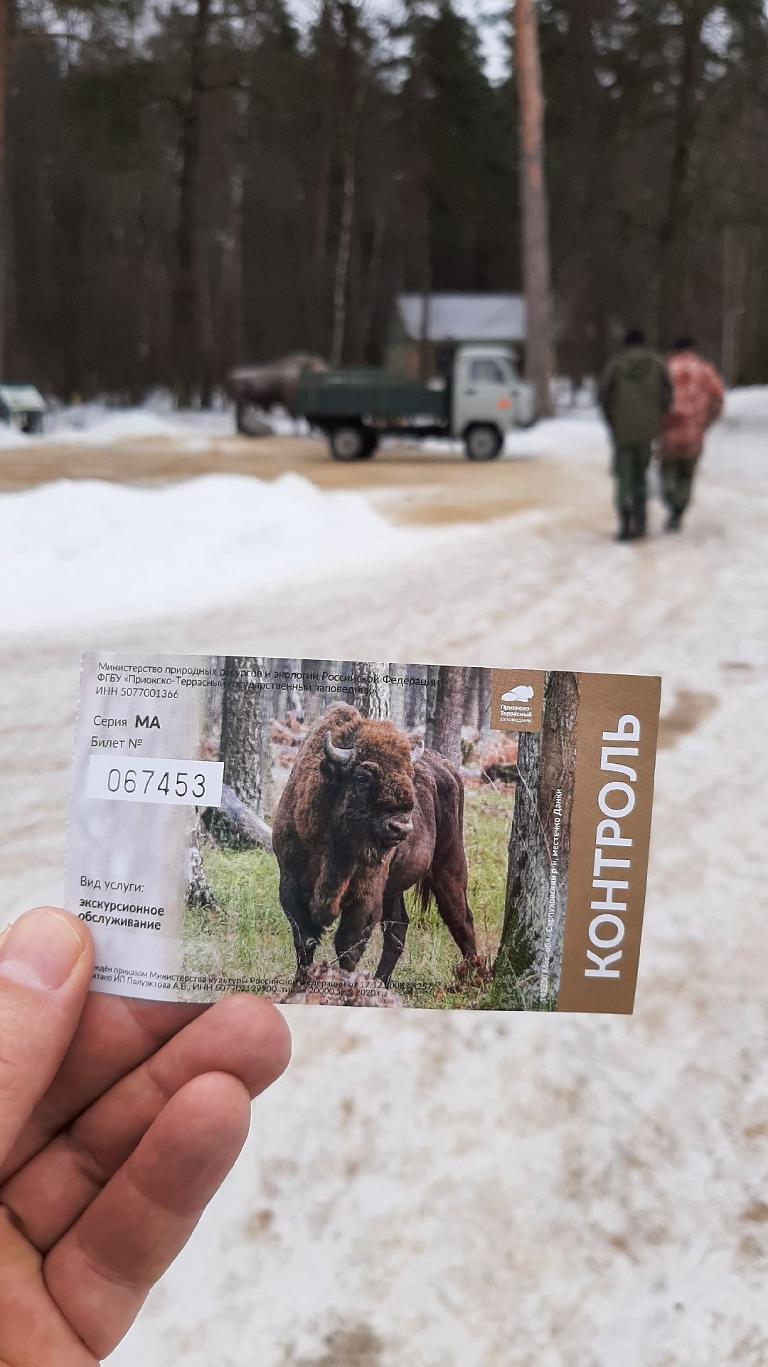 Серпухов, общество