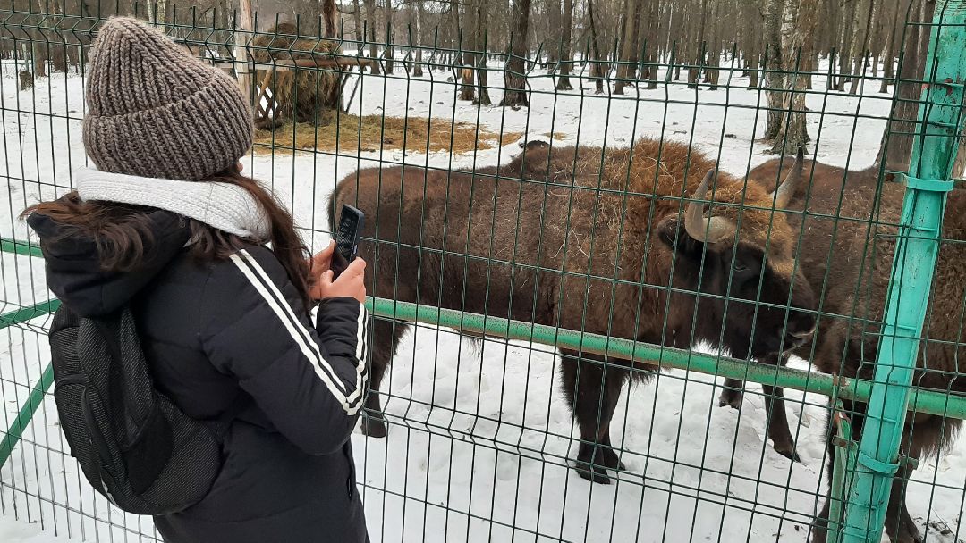 Серпухов, общество