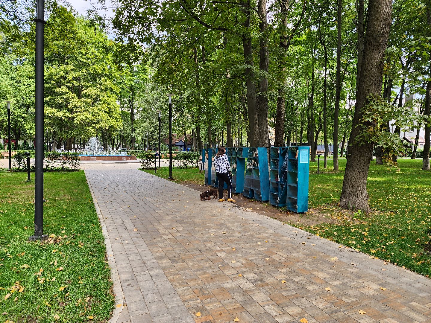 Подольск, культура, книги, чтение