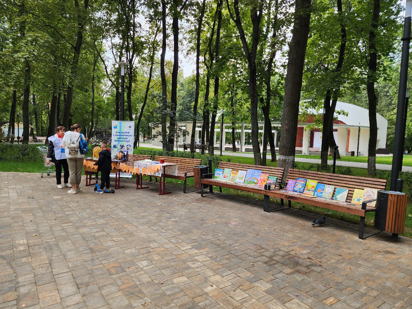 Подольск, культура, книги, чтение