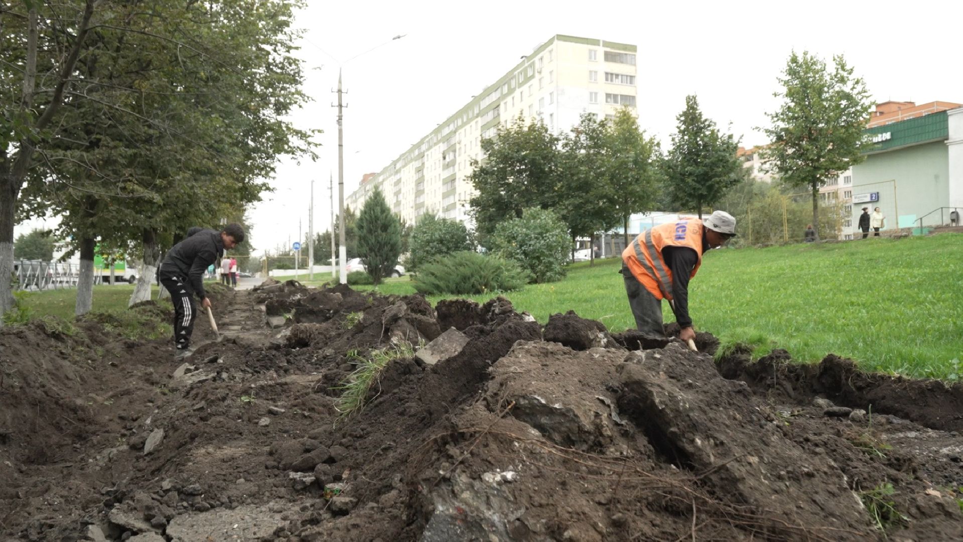 Дмитров, Благоустройство, Улица Профессиональная