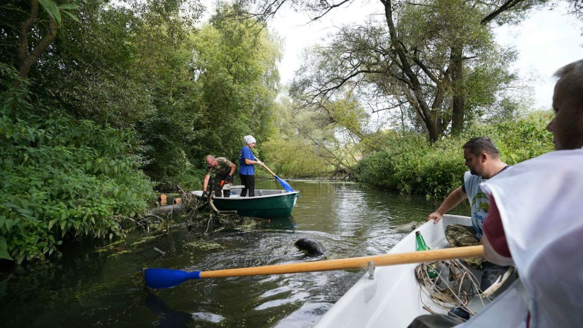 Экопатруль, проект