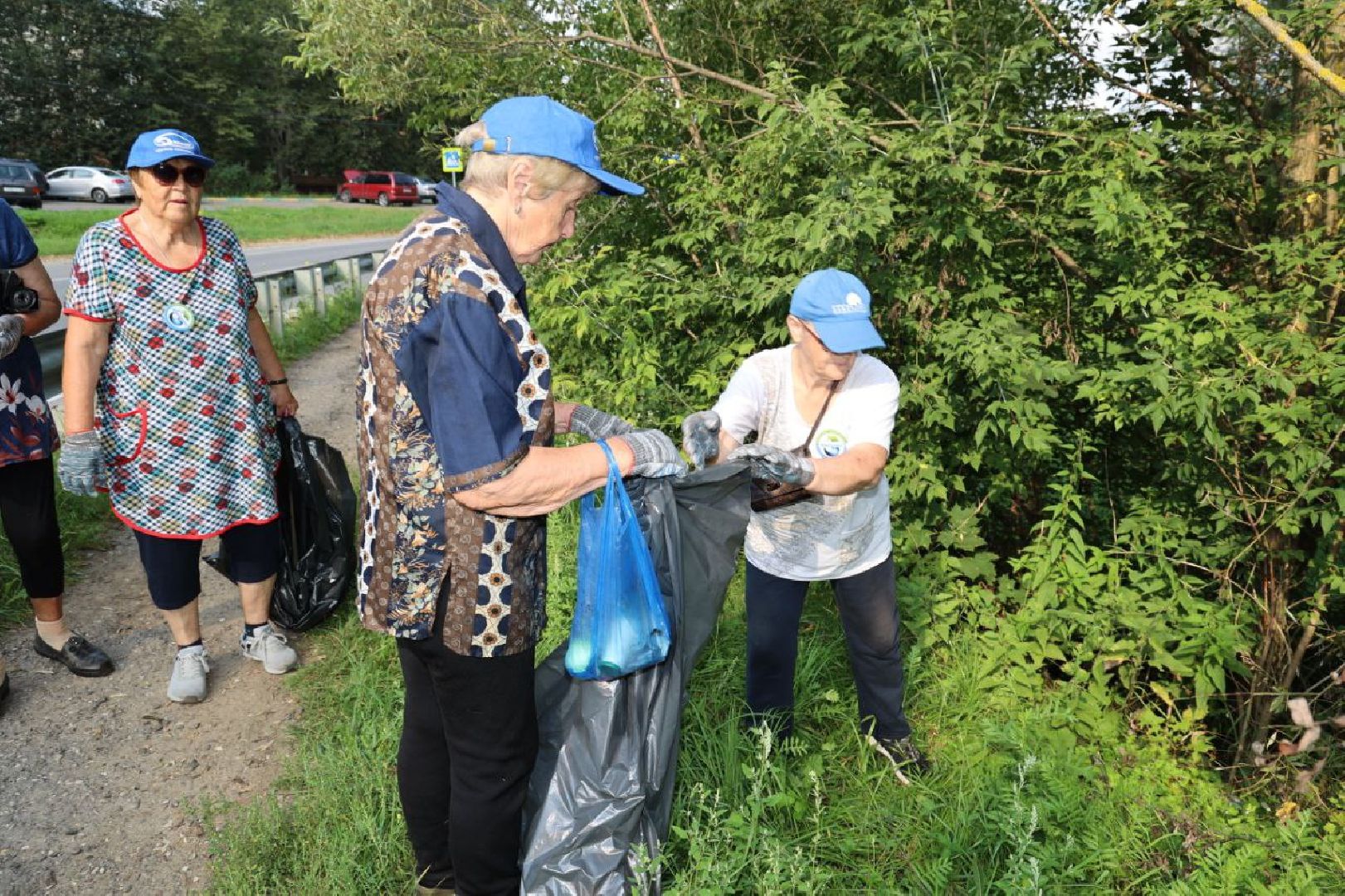 Экопатруль, проект