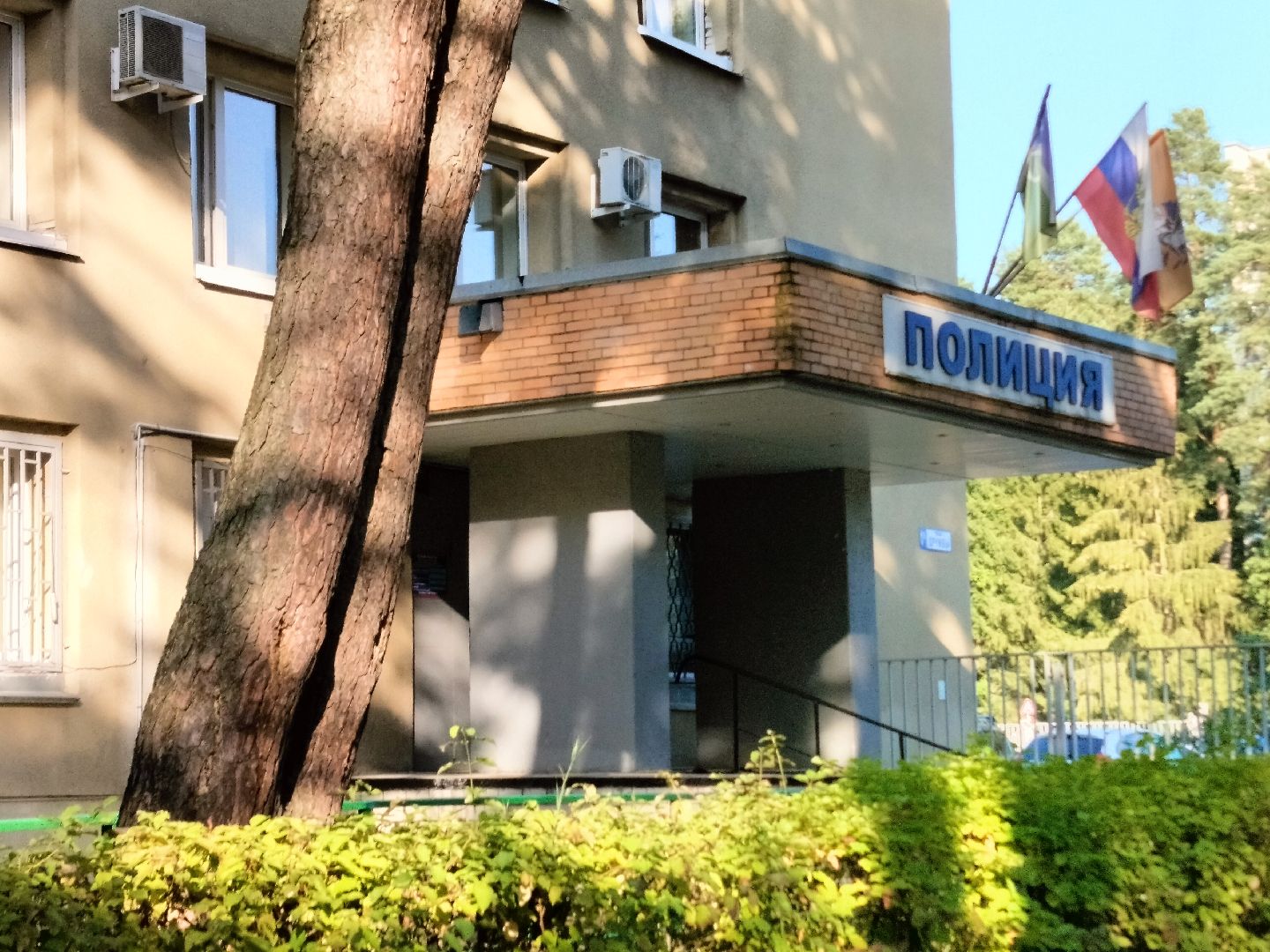 полиция, безопасность, кража, хранение запрещенных веществ, Протвино