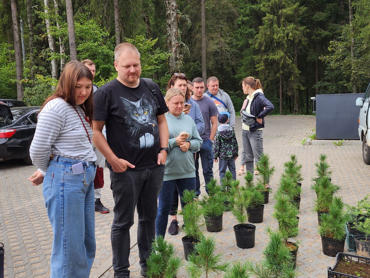 Питомник Хотьково. раздача кедра, Мытищи, лесопарк