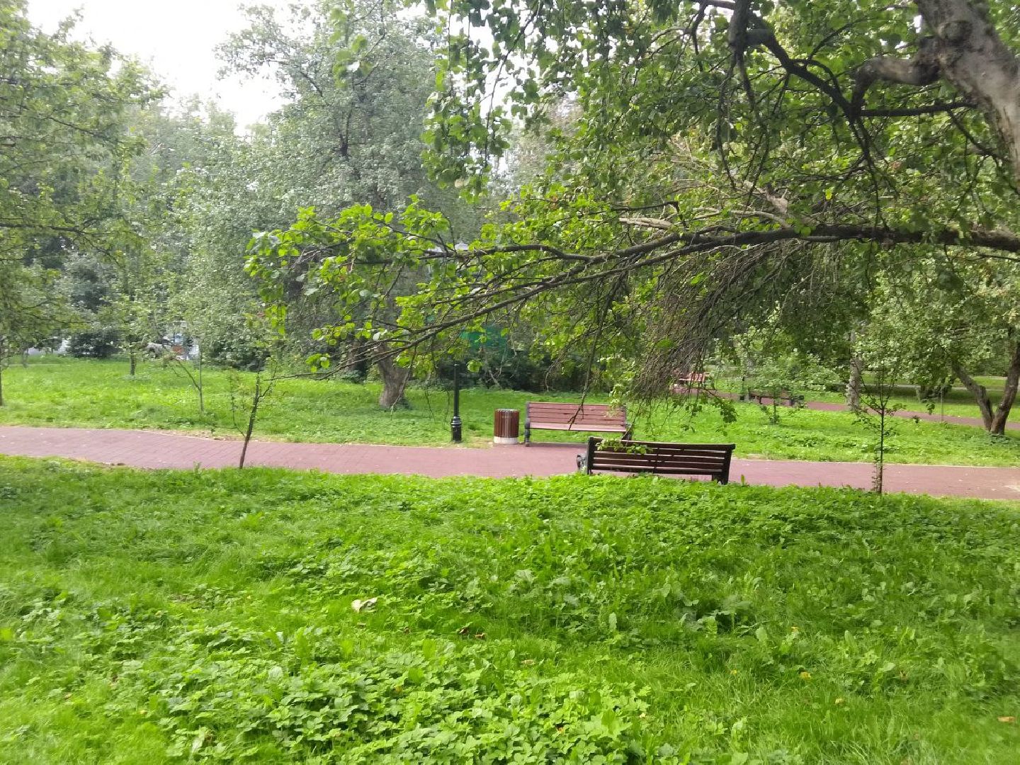 Долгопрудный, Яблоневый сад, благоустойство, асфальт, брусчатка