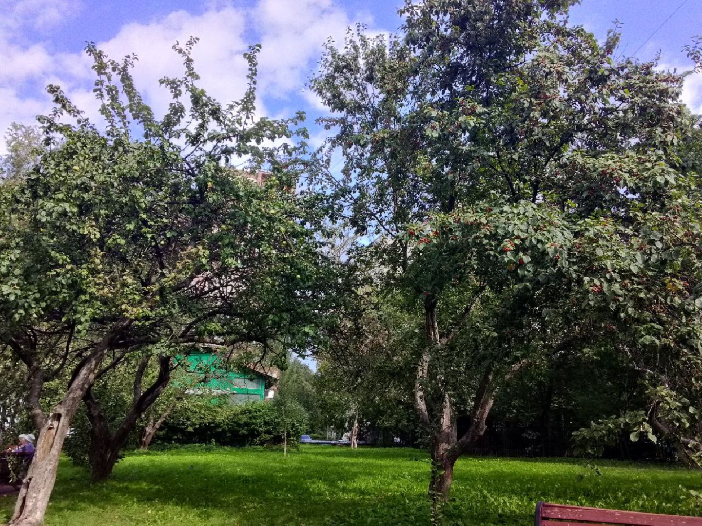 Долгопрудный, Яблоневый сад, благоустойство, асфальт, брусчатка