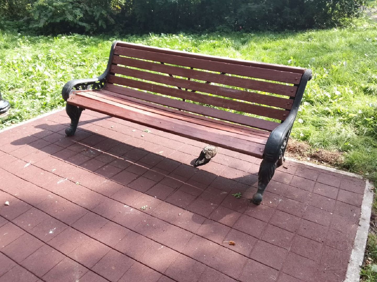 Долгопрудный, Яблоневый сад, благоустойство, асфальт, брусчатка