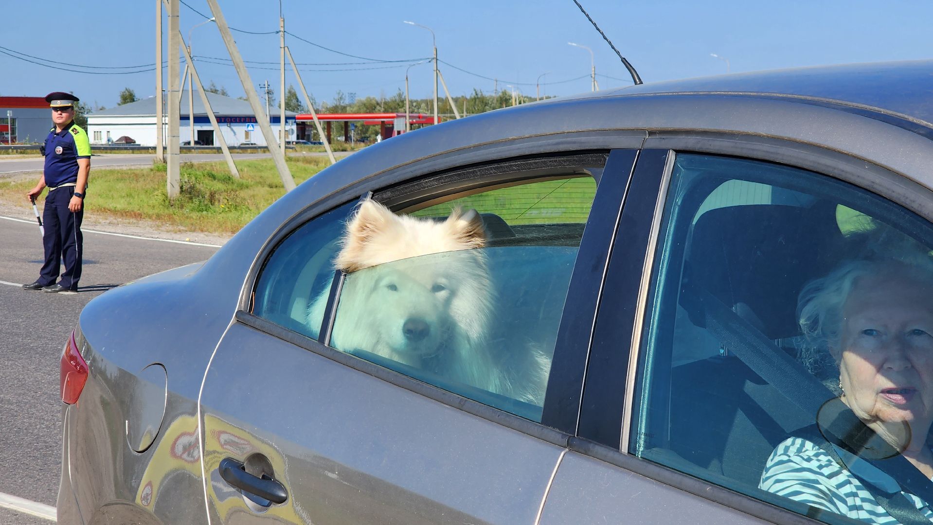 Егорьевск, акция, госавтоинспекция, дети, маленький пассажир